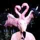 Image for article titled The Look for Fall Is Furry